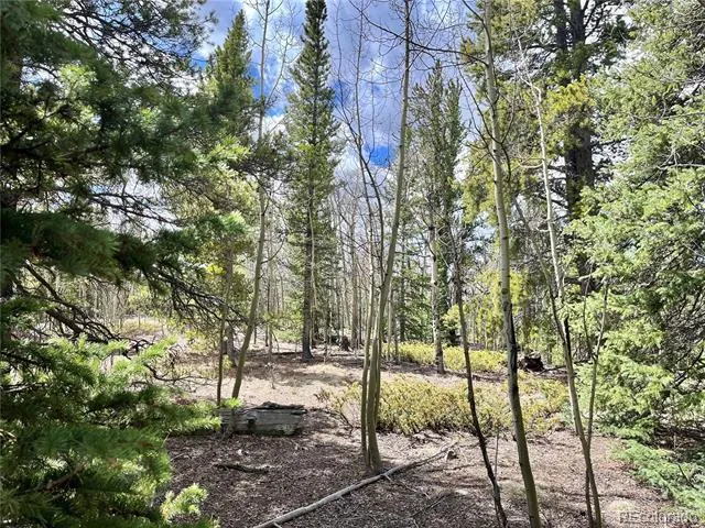 2203 Lakeside Drive Fairplay, CO 80440