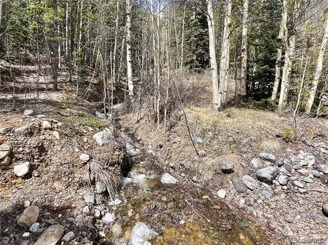 2203 Lakeside Drive Fairplay, CO 80440