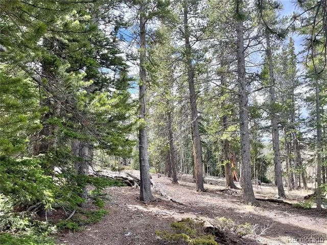 2203 Lakeside Drive Fairplay, CO 80440