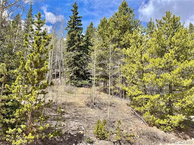 2203 Lakeside Drive Fairplay, CO 80440