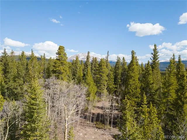 2203 Lakeside Drive Fairplay, CO 80440