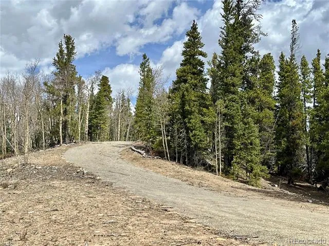 2203 Lakeside Drive Fairplay, CO 80440