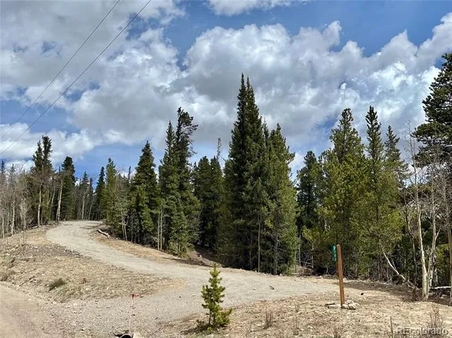 2203 Lakeside Drive Fairplay, CO 80440