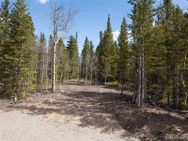 2203 Lakeside Drive Fairplay, CO 80440