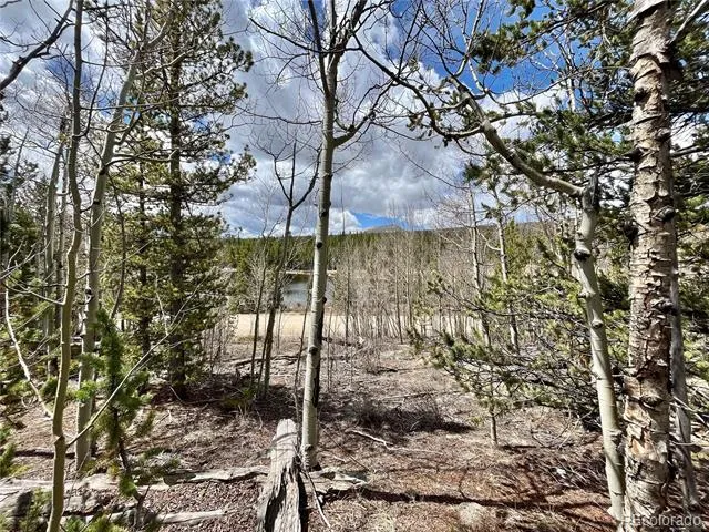 2203 Lakeside Drive Fairplay, CO 80440