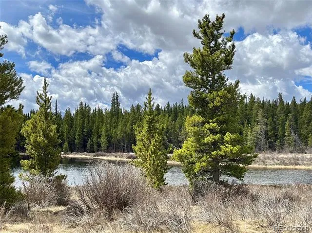 2203 Lakeside Drive Fairplay, CO 80440