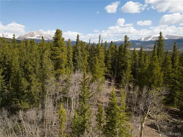 2203 Lakeside Drive Fairplay, CO 80440
