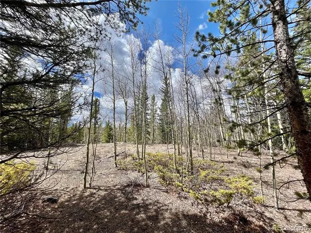 2203 Lakeside Drive Fairplay, CO 80440