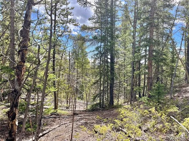 2203 Lakeside Drive Fairplay, CO 80440
