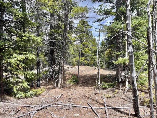 2203 Lakeside Drive Fairplay, CO 80440