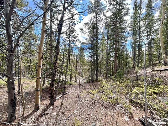 2203 Lakeside Drive Fairplay, CO 80440