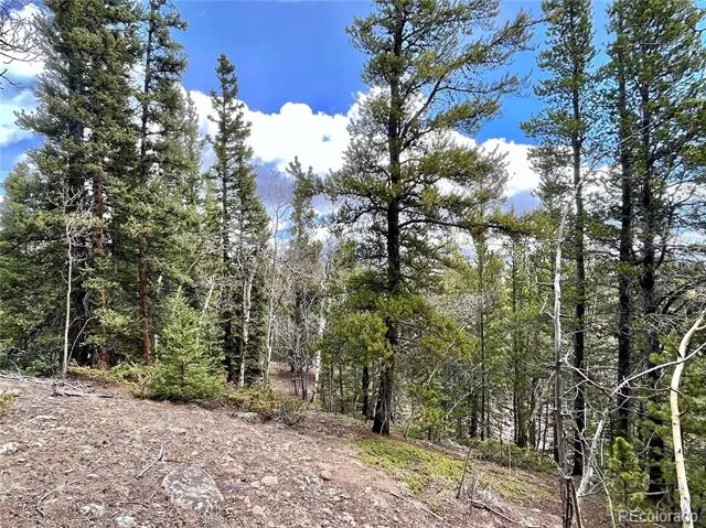 2203 Lakeside Drive Fairplay, CO 80440