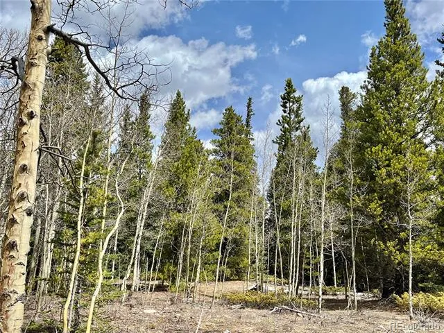 2203 Lakeside Drive Fairplay, CO 80440