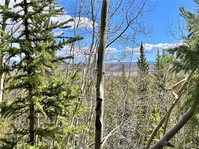 2203 Lakeside Drive Fairplay, CO 80440