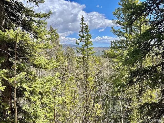 2203 Lakeside Drive Fairplay, CO 80440