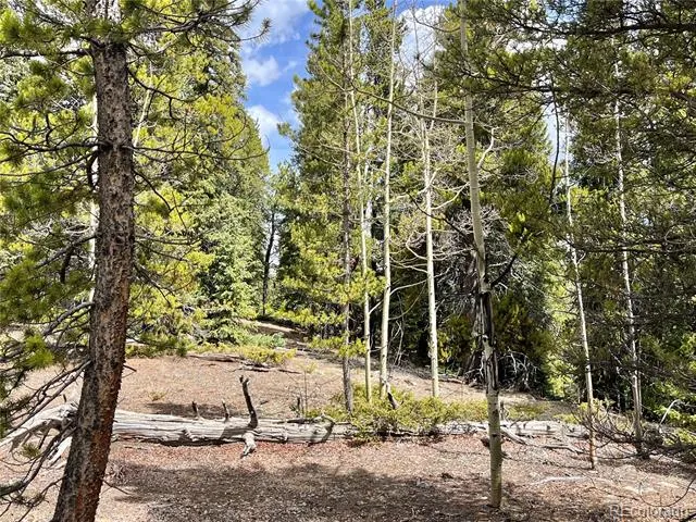 2203 Lakeside Drive Fairplay, CO 80440