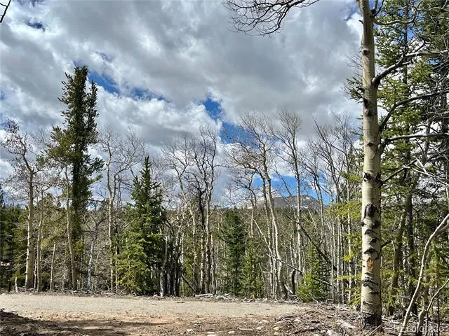 2203 Lakeside Drive Fairplay, CO 80440