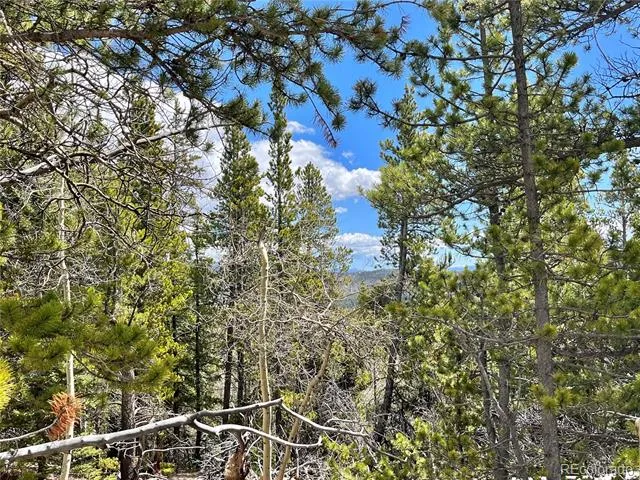 2203 Lakeside Drive Fairplay, CO 80440