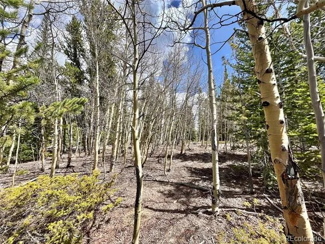 2203 Lakeside Drive Fairplay, CO 80440