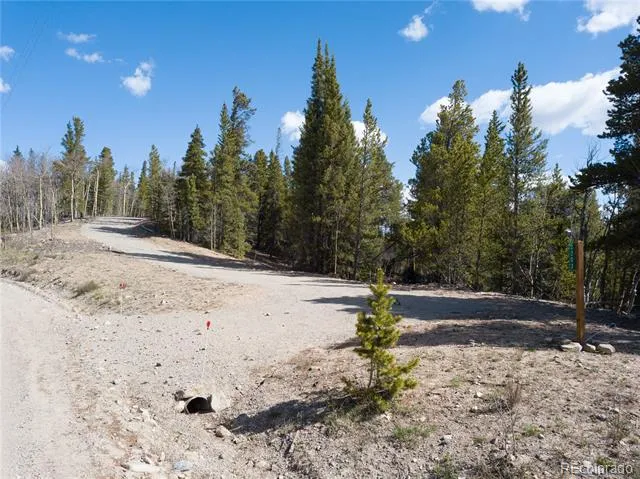 2203 Lakeside Drive Fairplay, CO 80440