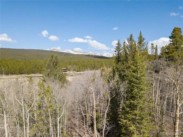 2203 Lakeside Drive Fairplay, CO 80440