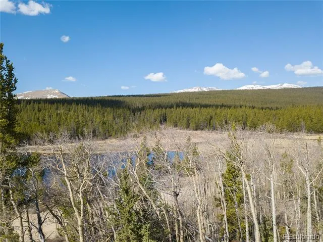 2203 Lakeside Drive Fairplay, CO 80440