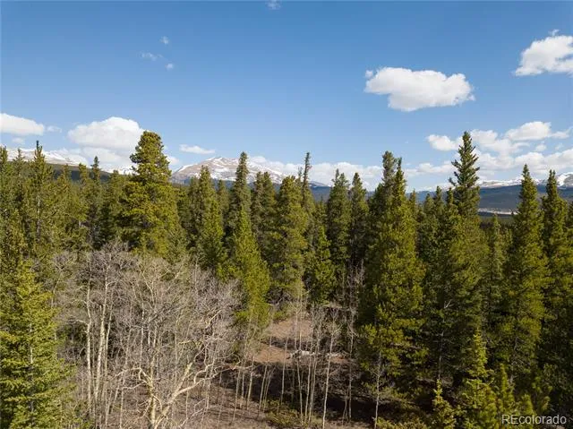 2203 Lakeside Drive Fairplay, CO 80440