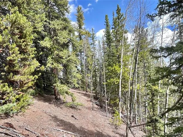 2203 Lakeside Drive Fairplay, CO 80440