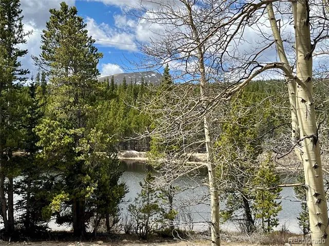 2203 Lakeside Drive Fairplay, CO 80440