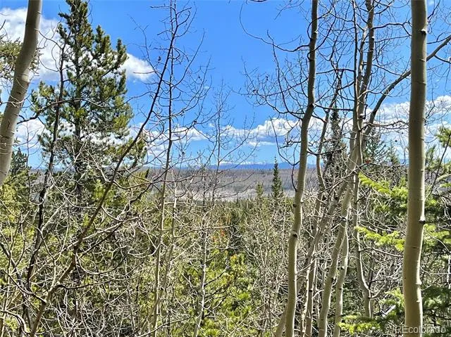 2203 Lakeside Drive Fairplay, CO 80440