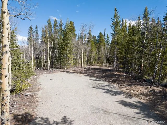 2203 Lakeside Drive Fairplay, CO 80440
