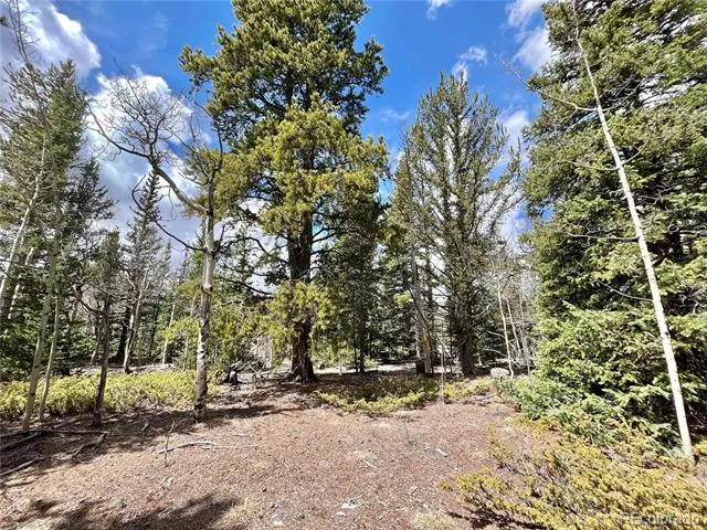 2203 Lakeside Drive Fairplay, CO 80440