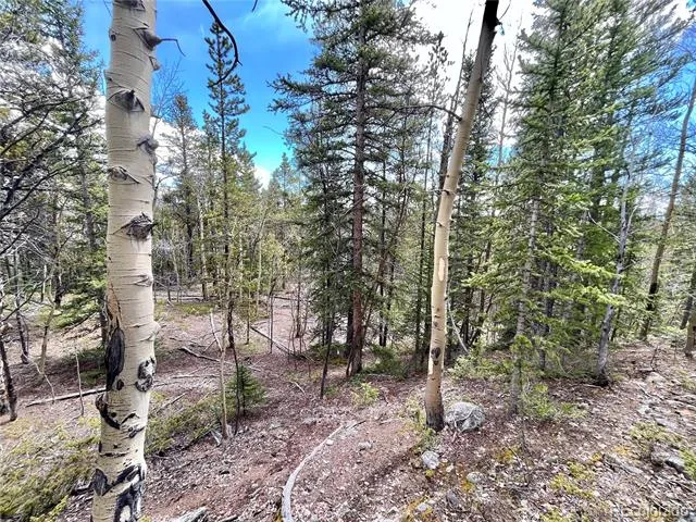 2203 Lakeside Drive Fairplay, CO 80440