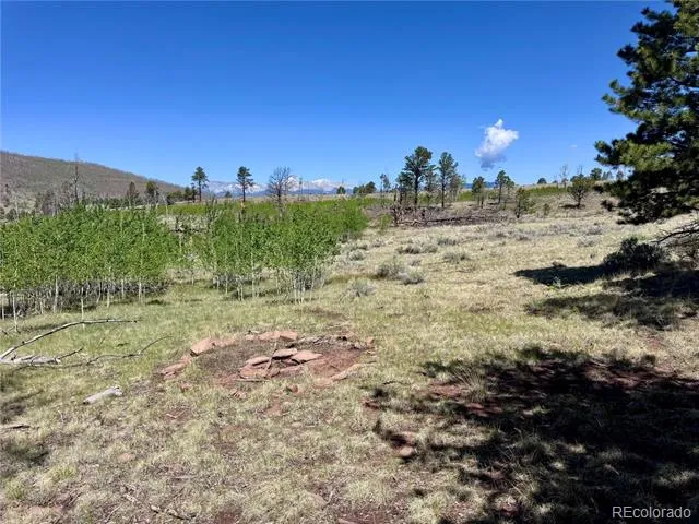 Lot 1102 Emery Loop Fort Garland, CO 81152