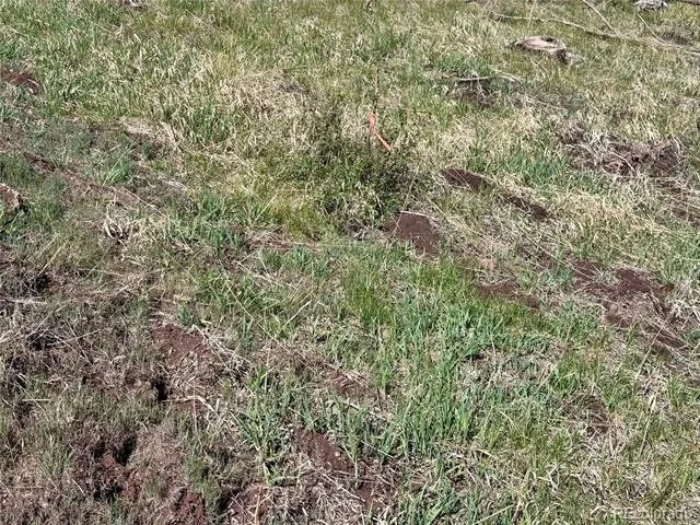 Lot 1102 Emery Loop Fort Garland, CO 81152
