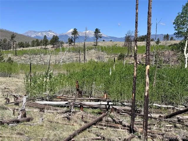 Lot 1102 Emery Loop Fort Garland, CO 81152