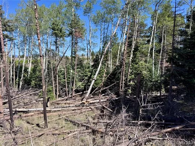 Lot 1102 Emery Loop Fort Garland, CO 81152