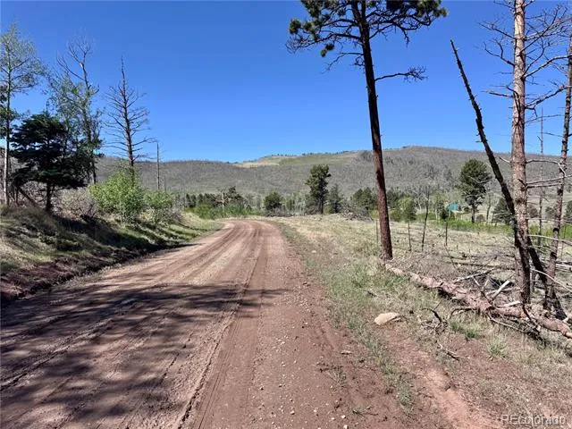 Lot 1102 Emery Loop Fort Garland, CO 81152