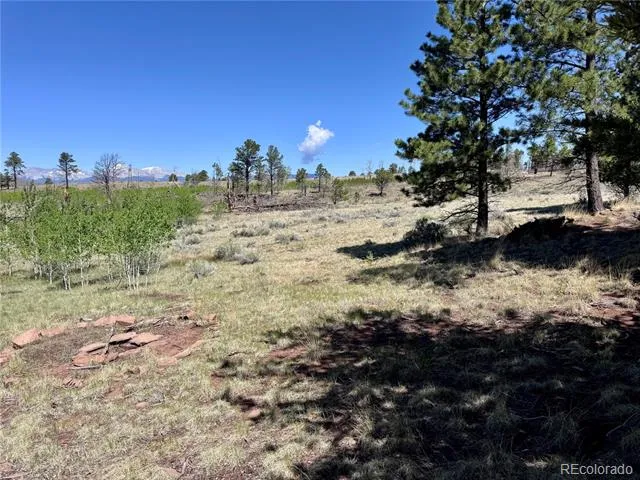 Lot 1102 Emery Loop Fort Garland, CO 81152