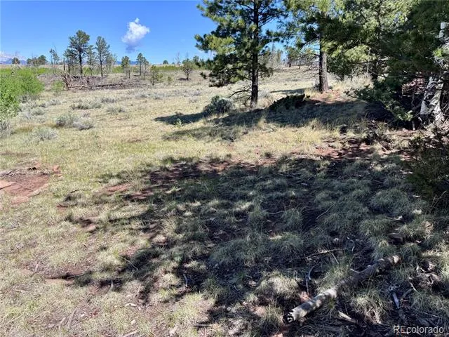 Lot 1102 Emery Loop Fort Garland, CO 81152