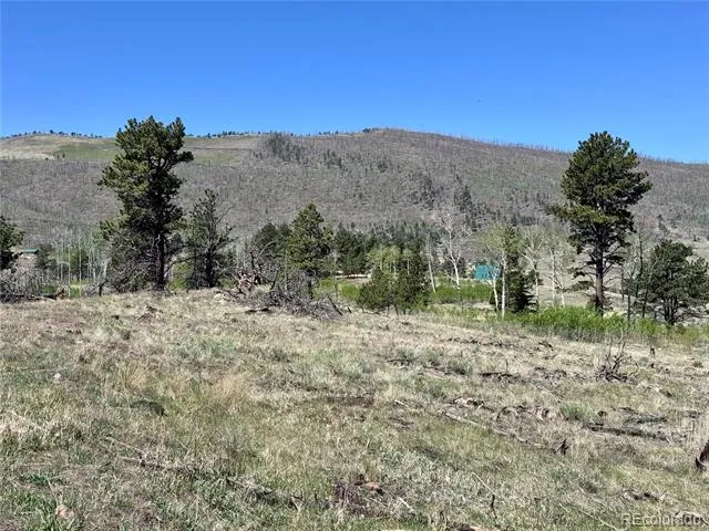 Lot 1102 Emery Loop Fort Garland, CO 81152
