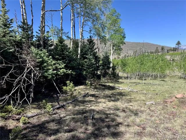Lot 1102 Emery Loop Fort Garland, CO 81152