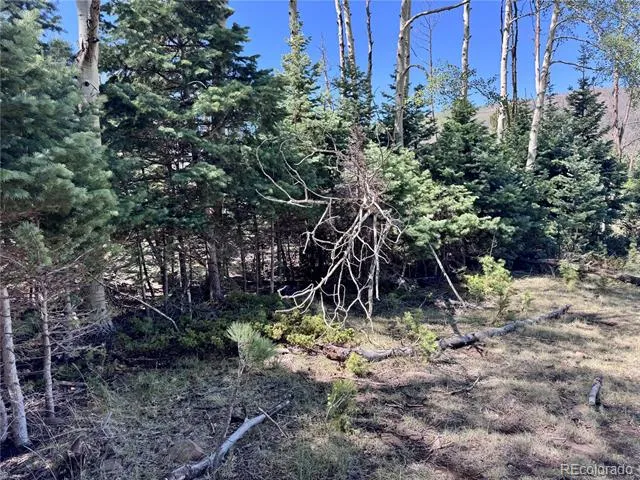 Lot 1102 Emery Loop Fort Garland, CO 81152