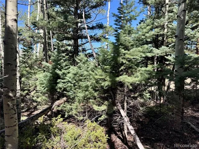 Lot 1102 Emery Loop Fort Garland, CO 81152