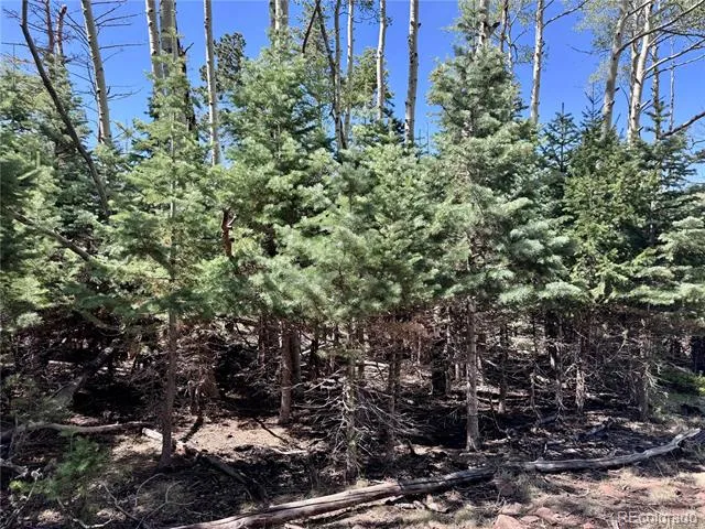Lot 1102 Emery Loop Fort Garland, CO 81152
