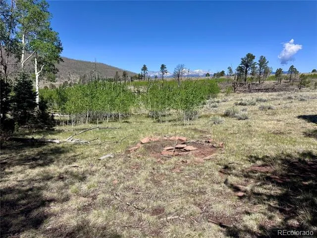 Lot 1102 Emery Loop Fort Garland, CO 81152