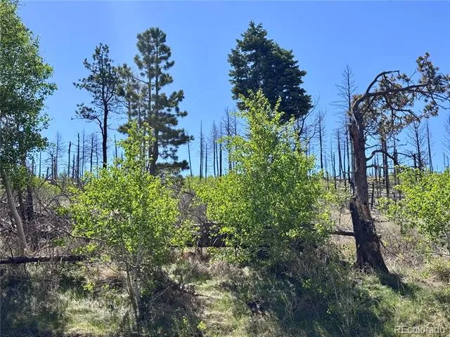 Lot 1102 Emery Loop Fort Garland, CO 81152