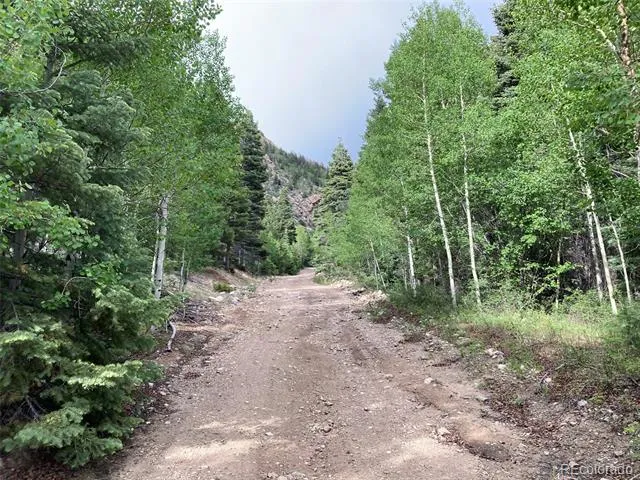 Lot 6473 Malcolm Road San Luis, CO 81152