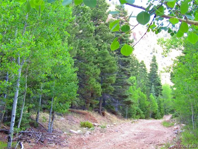 Lot 6473 Malcolm Road San Luis, CO 81152