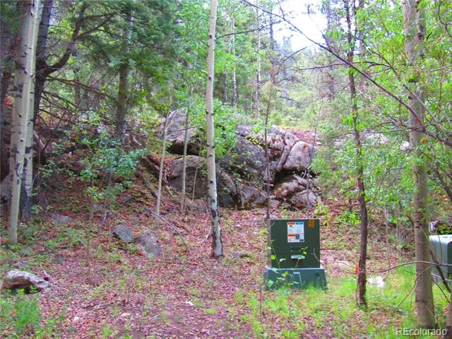 Lot 6473 Malcolm Road San Luis, CO 81152